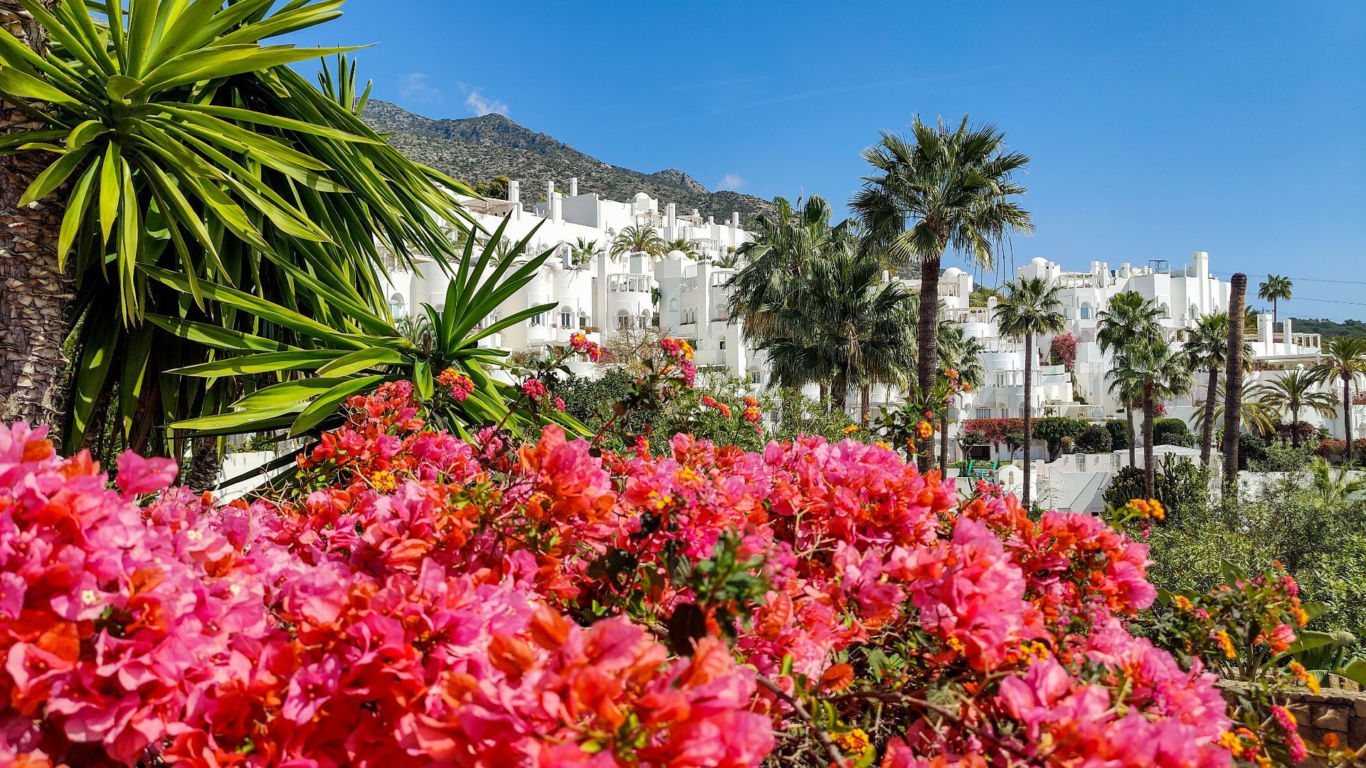 Milla de Oro, Marbella