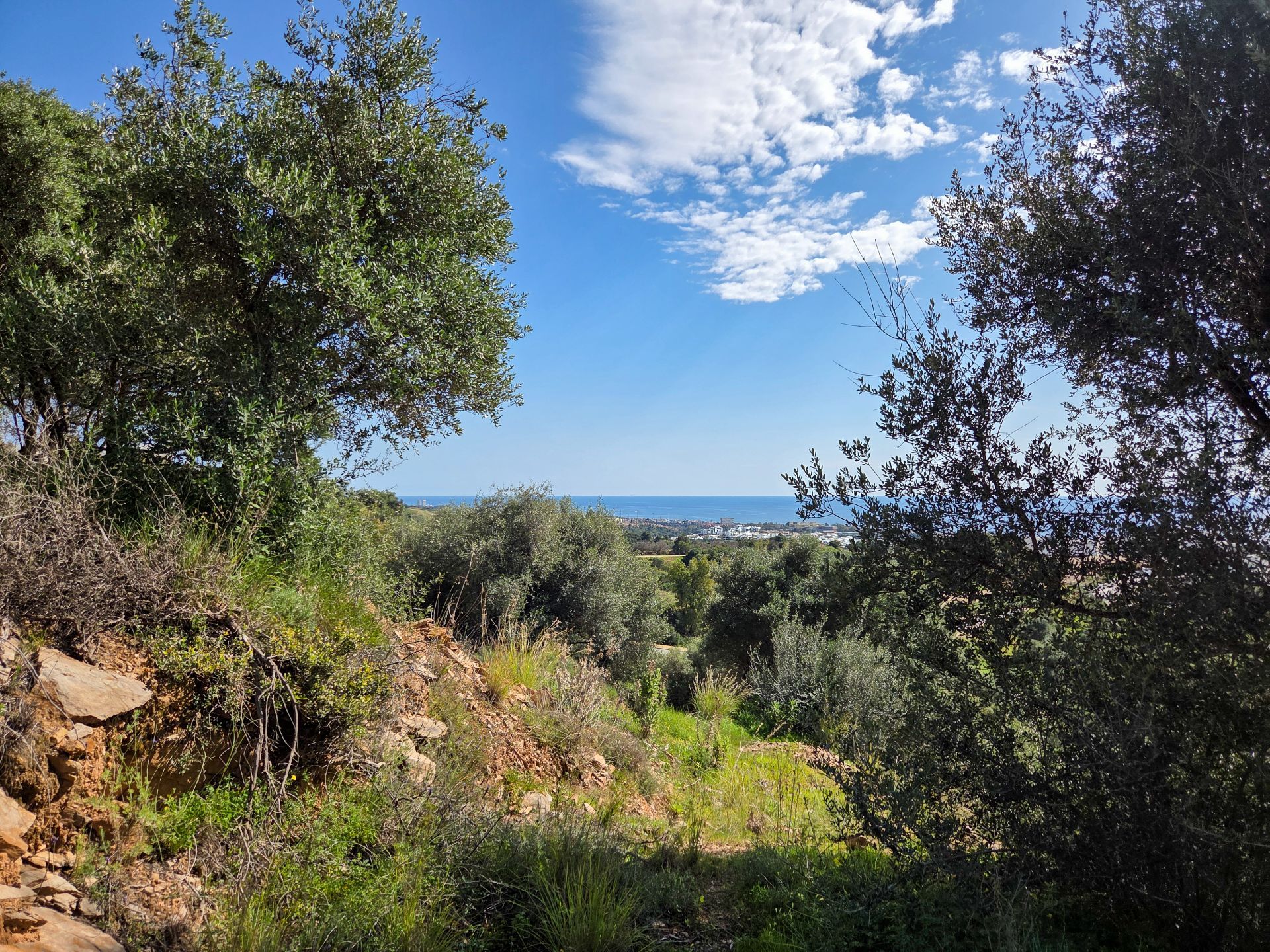 Marbella