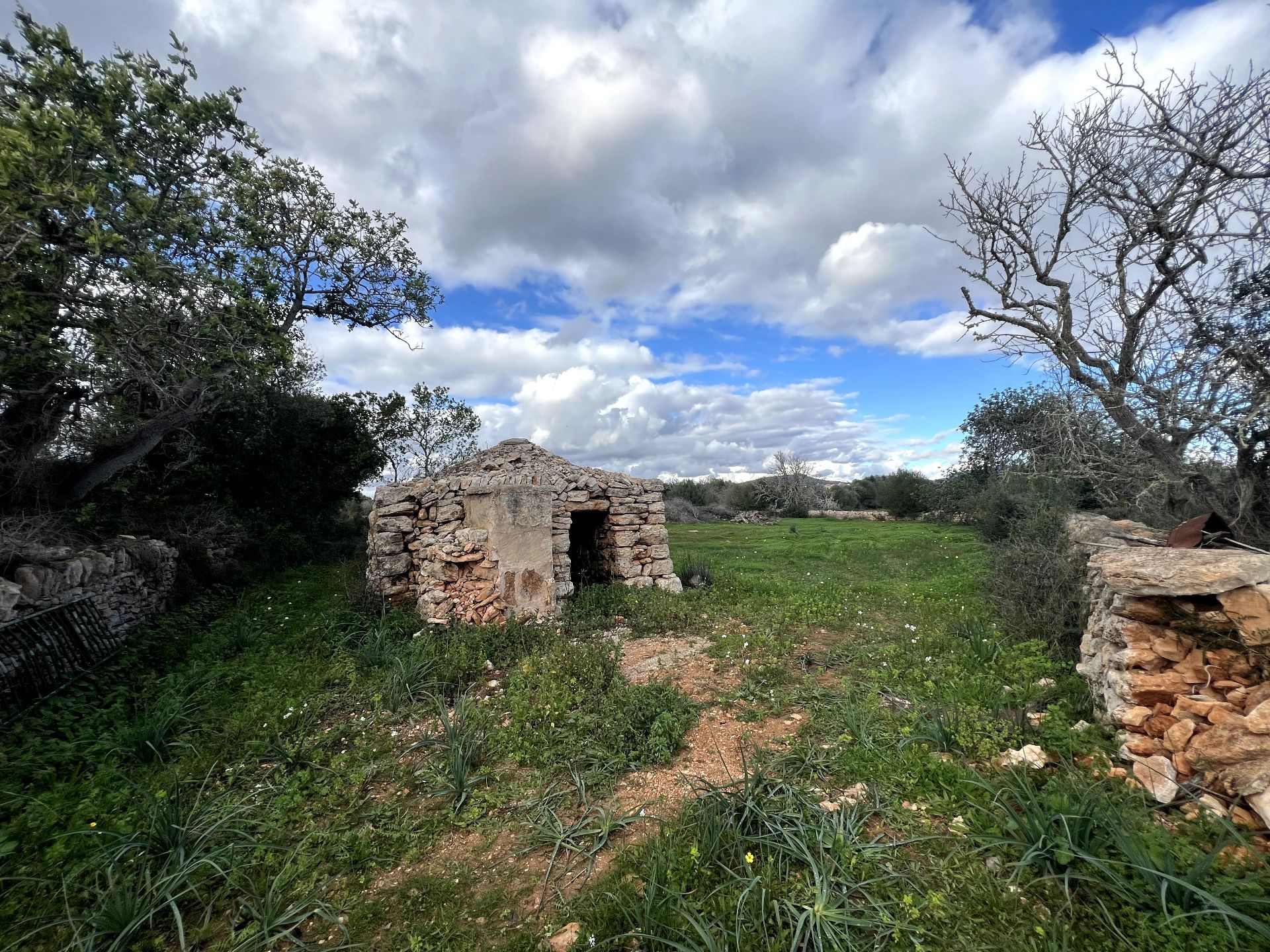 Santanyí