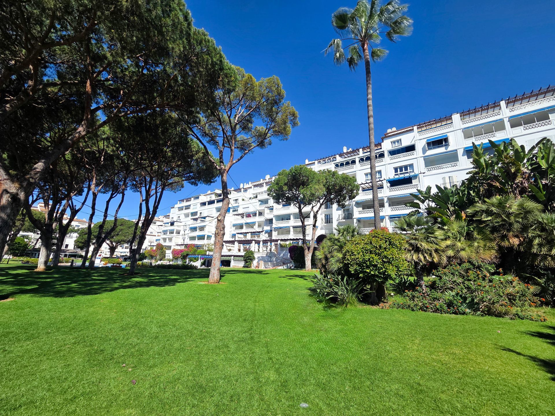 Nueva Andalucía, Marbella